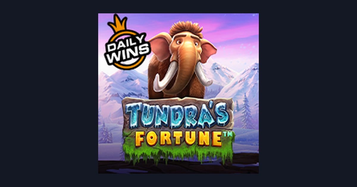 Strategi Menang Slot Tundras Fortune untuk Pemula yang Efektif
