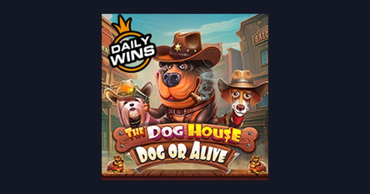 Raih Jackpot Progresif Terbesar Bersama The Dog House Dog Or Alive